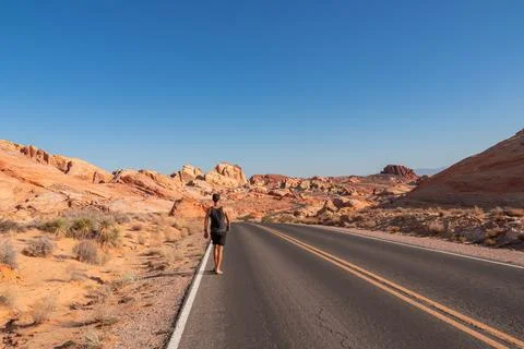 Man standing on endless winding empty road in Valley of Fire State Park lea.. Stock Photos
