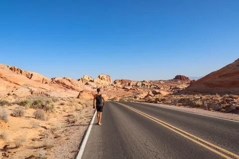 Man standing on endless winding empty road in Valley of Fire State Park lea.. Stock Photos