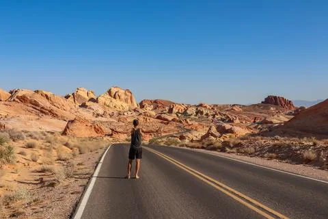 Man standing on endless winding empty road in Valley of Fire State Park lea.. Stock Photos