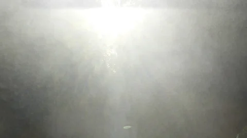 Man standing on a fallen tree under waterfall 스톡 동영상 72507568