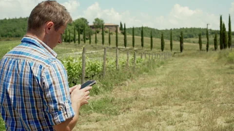 Man standing on the field and texting on smartphone, steadycam shot Video stock 66768203