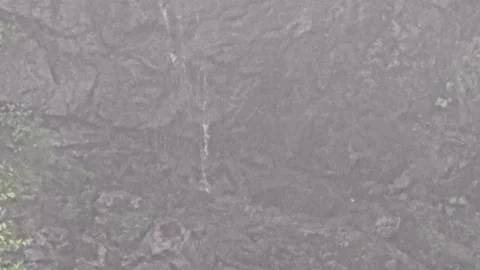 A man that is standing. Stock Footage 282790250