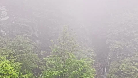 A man standing on a. Stock-Footage 282794317