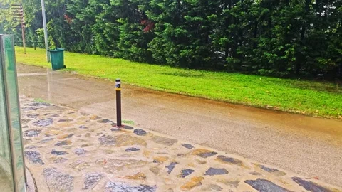 A man standing in the. Stock Footage 282998346