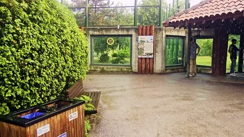 A man that is standing. Stock-Footage 284671874