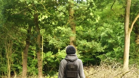 Man Standing in the Forest. Man Looking at Nature Woodland Stock Footage 306849816