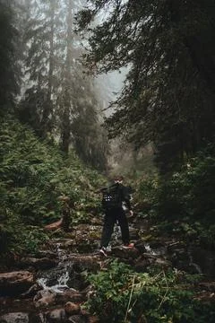 A man standing in a forest by a stream Stock Photos