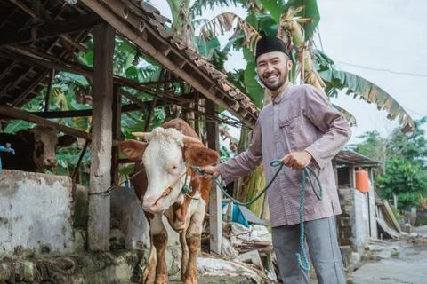A man standing in front of the cow's stable Stock Photos