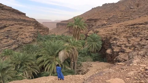 Man standing in front of Terjit Oasis, Sahara, Mauritania Vídeo Stock 150217261
