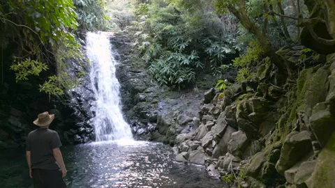 Man standing in front of a waterfall in the rainforest Video stock 224724216