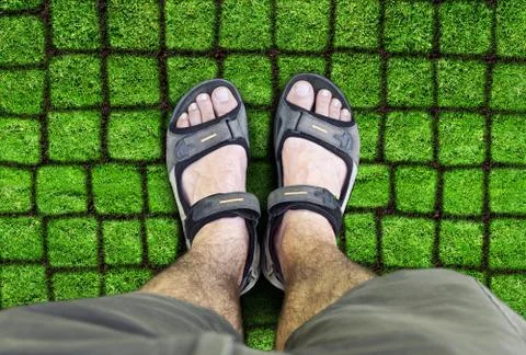 Man standing on the grass Stock Photos