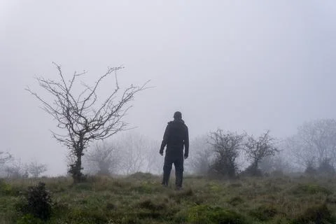 A man standing on a hill, back to camera. with fog covering a hillside Stock Photos