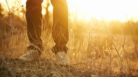 Man Standing On Hill, Slow Motion, Color Corrected Video stock 33360633