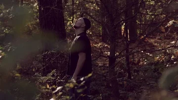 Man standing in the middle of a forest looking up at the trees in the woods Stock Footage 85657064