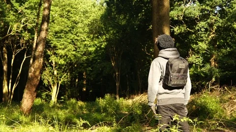 Man standing in Nature Forest with Backpack Stock Footage 111856736