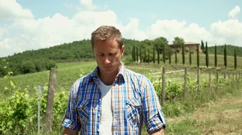 Man standing next to the vineyard and looking worried, steadycam shot Stockbeeldmateriaal 66768124