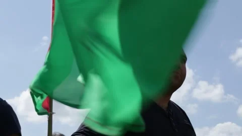 Man Standing with Palestinian Flag at Protest Video stock 311035959