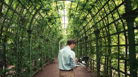 Man standing at park using laptop receiving good news and celebrating success Stock Footage 77169146