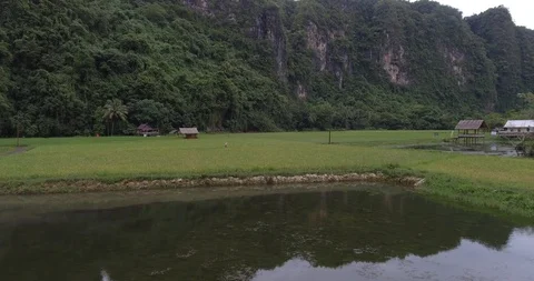 A Man Standing on Rice Fields in front of Karst Mountain, Maros South Sulawesi Stock Footage 95034833