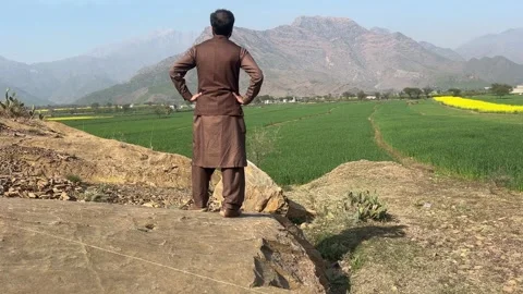 Man Standing on Rock in Open Green Fields and Natural Landscape Vídeos de archivo 335587572