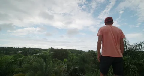 Man standing on top, looking on tropical jungle and endless ocean horizon. Stock Footage 274635849