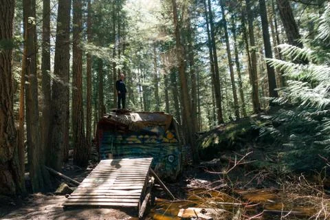 Man standing on train in deep forest Stock Photos