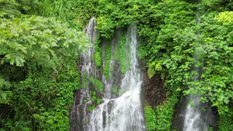 Man Standing In Tropical Waterfall Pool East Java Indonesia Drone Rise 4K 30FPS Video stock 328492309