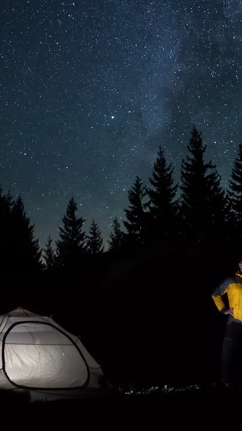 Man Standing Under Starry Night Sky in Forest Stock Footage 334923039