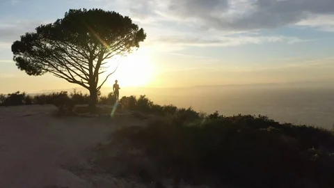 Man Standing Under Wisdom Tree on Mountain Top at Sunset Drone Shot Stock Footage 116737379