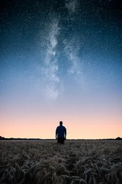 Man standing on wheat field under the stars of the milky way at night. Man lo Stock Photos