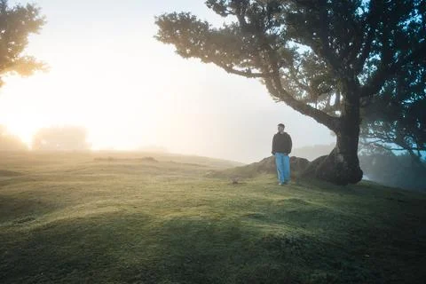 A man stands alone under a big tree on a green hill, shrouded in mist and sof Stock Photos