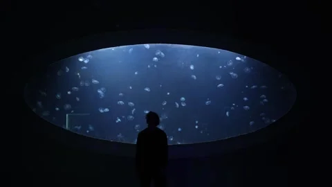 A man stands in awe, observing the underwater world through a large, illuminated Video stock 291847768