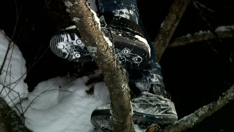 A man stands on a branch on a tree in winter Stock Footage 93172249