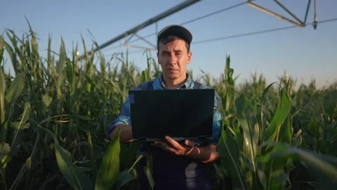 A man stands in a corn field holding a laptop and adjusting his hat while Stock Footage 320063381