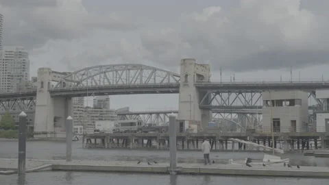 Man stands on dock surrounded by crows Stock Footage 199166782