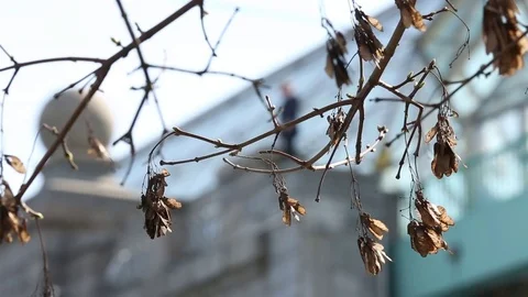 A man stands on the edge of the bridge and looking forward. Stock Footage 80356052