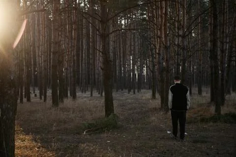 A man stands in the forest at sunset Stock Photos