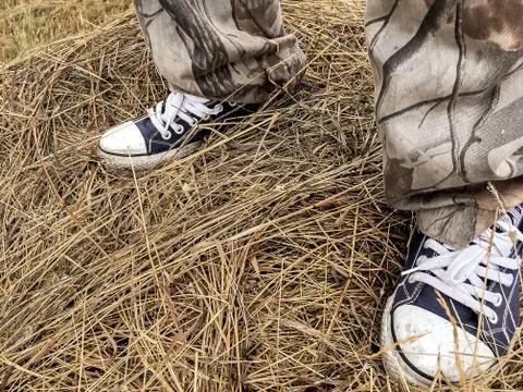 A man stands on a haystack Stock Photos