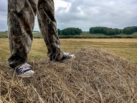 A man stands on a haystack Stock Photos