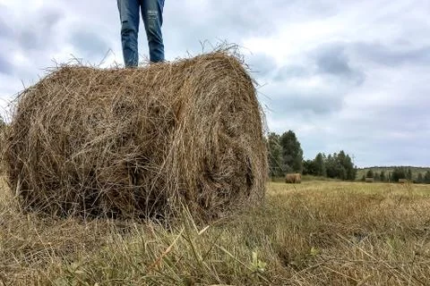 A man stands on a haystack Stock Photos