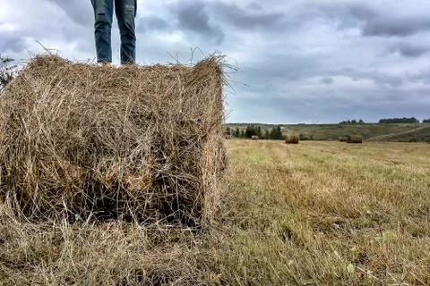 A man stands on a haystack Foto stock