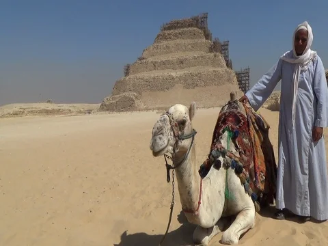 Man stands next to Camel and Sakkara Pyramid in Egypt Stockbeeldmateriaal 82732798