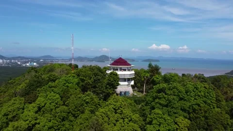 A man stands on an observation tower in the jungle and takes a selfie 库存影片 169503526