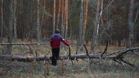 Man stands in a pine forest Vídeo Stock 141358035