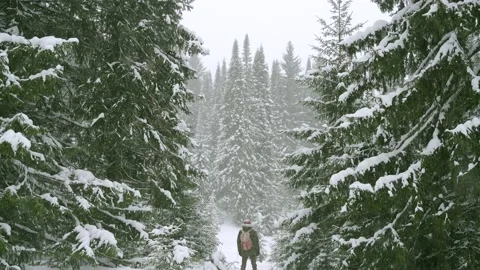 A man stands in a snow-covered forest in a snowstorm.  Stock Footage 147196620