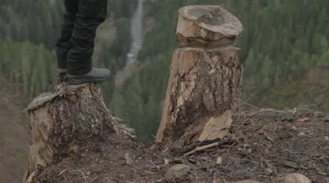 Man stands on stump w/valley in background Stock Footage 10980865