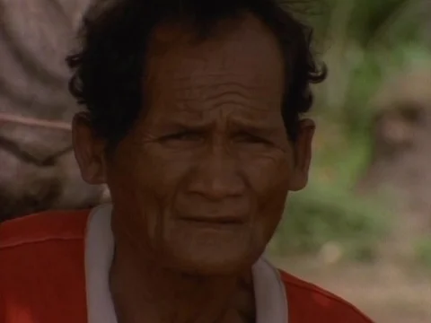 Man staring at the camera Stock Footage 79880870