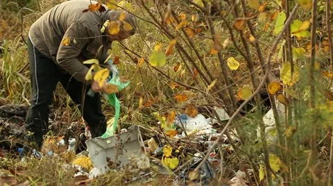 Man start collects waste in to the bag near forest Stock Footage