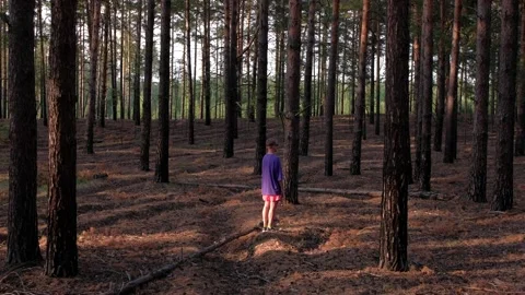 Man stay in the forest. Video stock 159532939