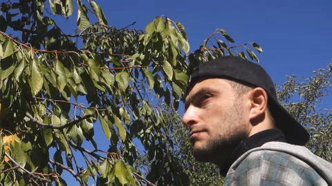 The man steals a glance at the cherry tree. Stock Footage 209264768